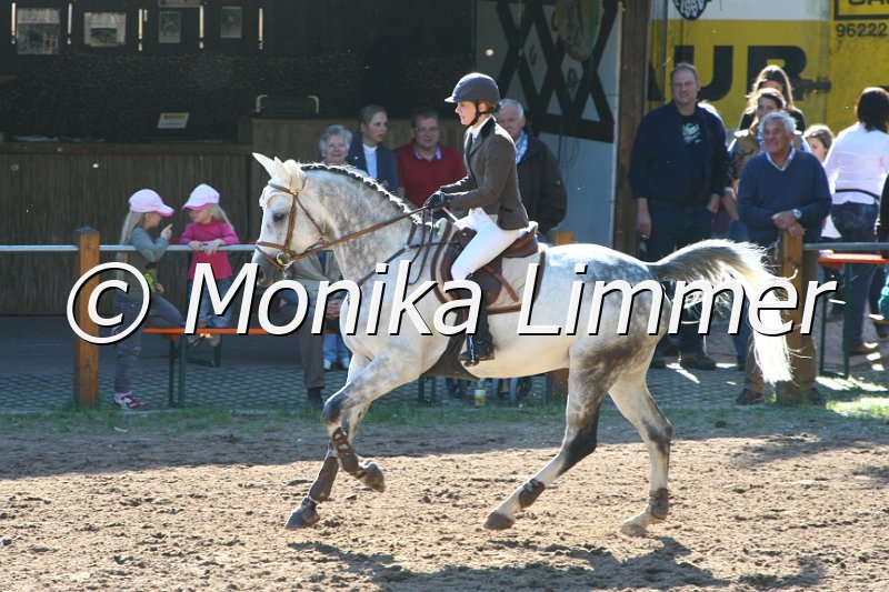 104M9000_Spring M_m.Stechen.JPG